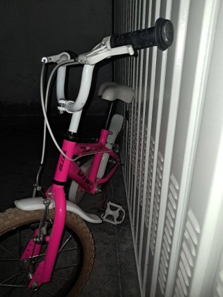 Bicicleta Infantil DTB Fun 160 Rosa 16