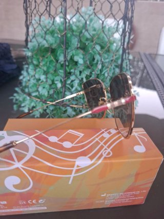 Gafas Carolina Herrera Marrón y Dorado