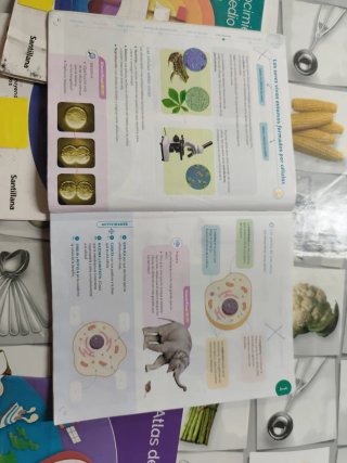 Conocimiento del medio 5 Primaria : Proyecto Co...