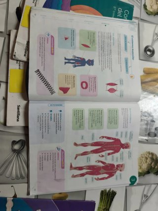 Conocimiento del medio 5 Primaria : Proyecto Co...