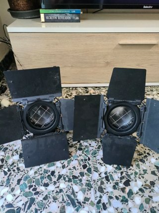 Focos de estudio profesionales