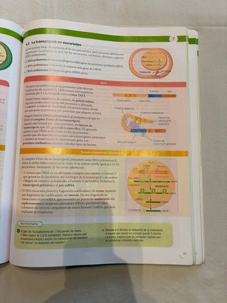 Biologia, 2 Batxillerat, Projecte Construint mons
