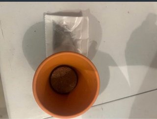 Kit Cultivo
