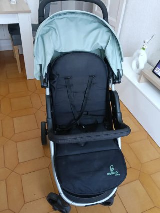 Carro de paseo Asalvo Baby