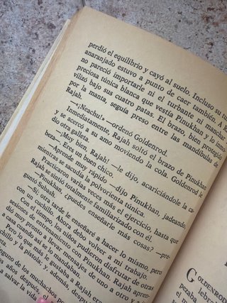 Libro:Goldenrod,El discípulo del faquir