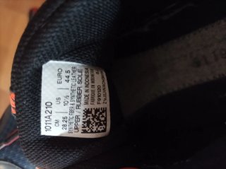 Scarpe da Trail Running Asics Uomo