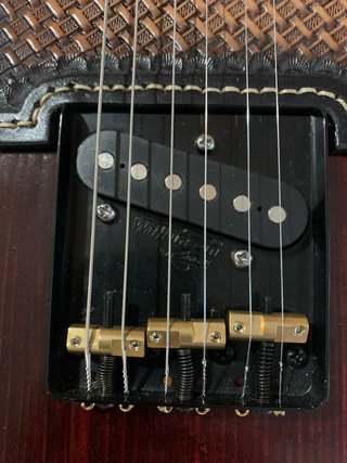 Guitarra Eléctrica Telecaster Custom