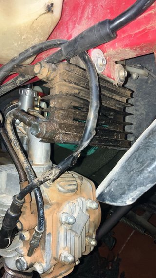 Pit Bike PGR 140cc