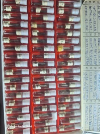 54 Tijas Quarzo per Orologi