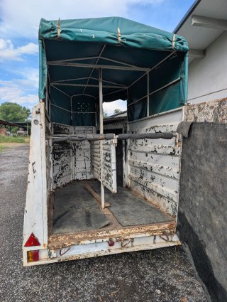 Remolque caballos/Van