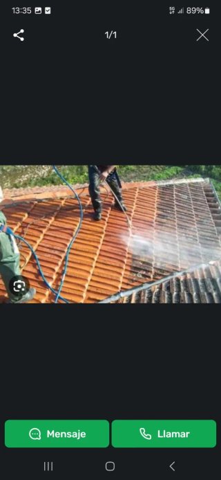 Limpieza de tejados y canalones,gente profesional.