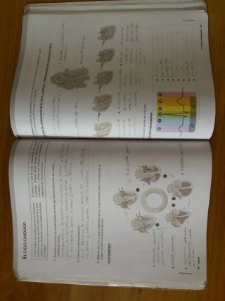 Anatomía aplicada. Cuaderno de actividades (Aul...