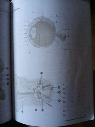 Anatomía aplicada. Cuaderno de actividades (Aul...