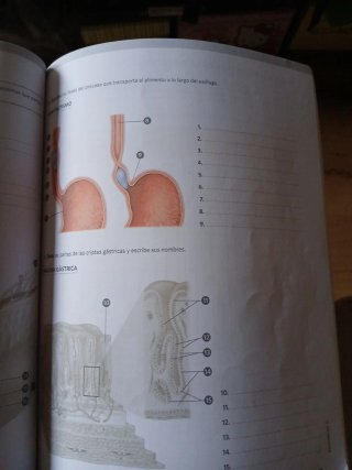 Anatomía aplicada. Cuaderno de actividades (Aul...
