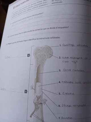 Anatomía aplicada. Cuaderno de actividades (Aul...