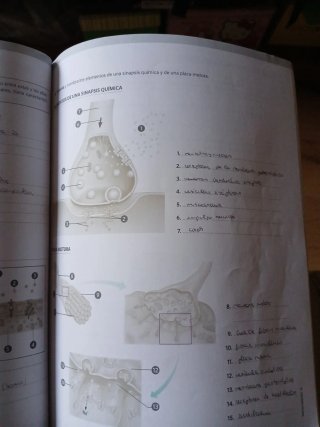 Anatomía aplicada. Cuaderno de actividades (Aul...
