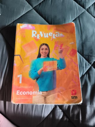 1 Bachillerato, Economía Revuela