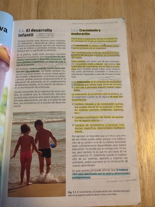 Desarrollo cognitivo y motor