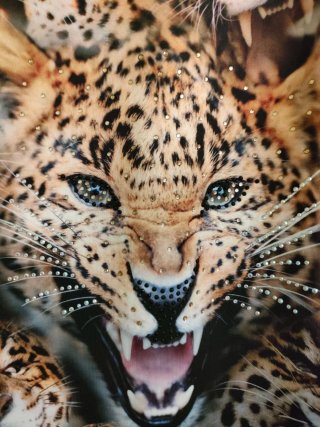 Vestido estampado leopardo
