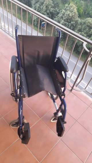 Sedia a rotelle