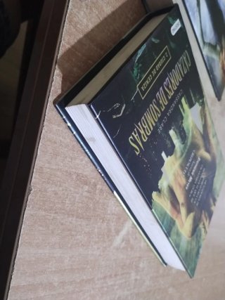 Lote libros juveniles de vampiros