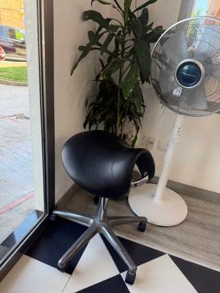 Sillón de peluquería/barbería giratorio