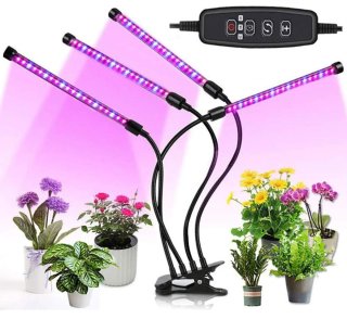 Luz LED Crecimiento Plantas Interior