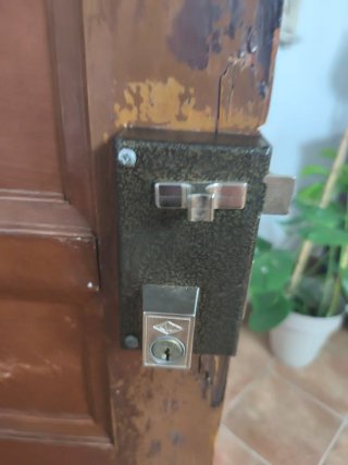 Puerta de madera maciza (sin marco)
