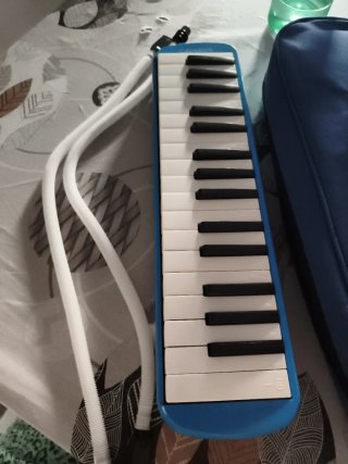 Flauta y componentes hasta funda