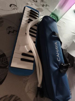 Flauta y componentes hasta funda