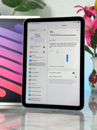 iPad Mini 256GB