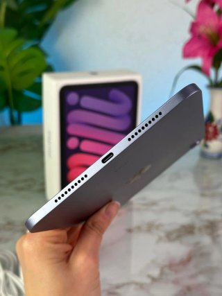iPad Mini 256GB