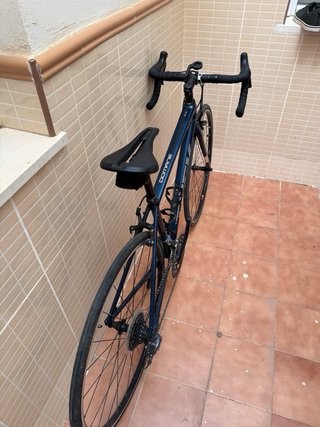 Trek Domane AL 2 Talla 50