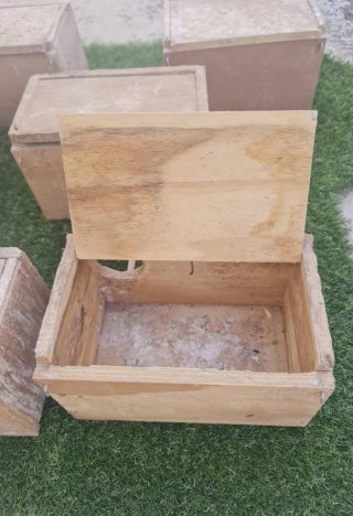 Nidos para agapornis