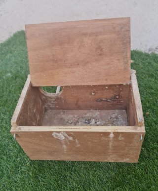 Nidos para agapornis