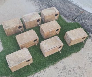 Nidos para agapornis