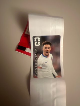 Cromo Coca-Cola Panini Antonee Robinson USA