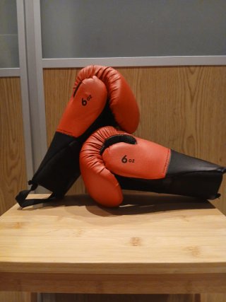 Guantes de boxeo 6 oz sin usar