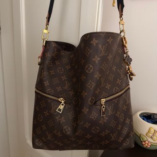 Borsa Louis Vuitton Monogram Marrone
