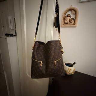 Borsa Louis Vuitton Monogram Marrone