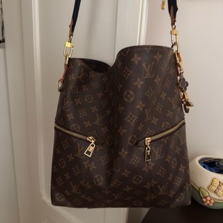 Borsa Louis Vuitton Monogram Marrone