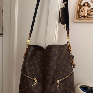 Borsa Louis Vuitton Monogram Marrone