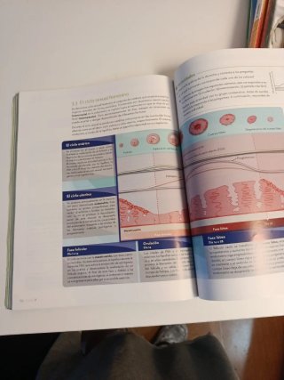 Biología y Geología, 3o ESO.