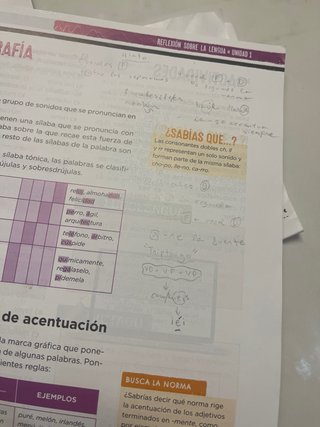 Lengua Castellana, 2 ESO, Programa Carmen de Bu...