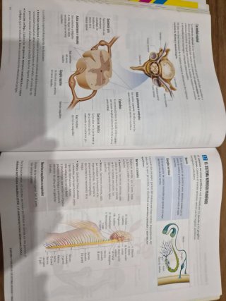 Libro de Texto 3°ESO Biología y Geología