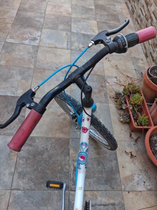 Bicicleta infantil 20 Btwin
