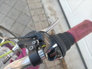 Bicicleta Niña 20 B'Twin Mistigirl 500