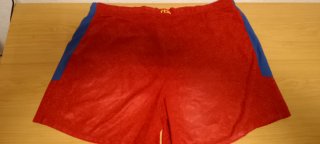 Pantalones Cortos FC Barcelona Nike