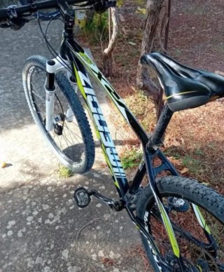 Bicicleta de Montaña