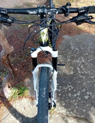 Bicicleta de Montaña